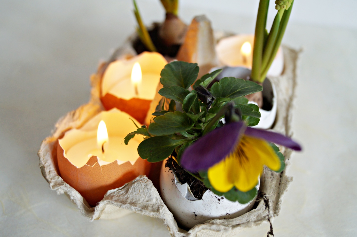 DIY für Ostern // Eier gefüllt mit Kerzen und Pflanzen ...