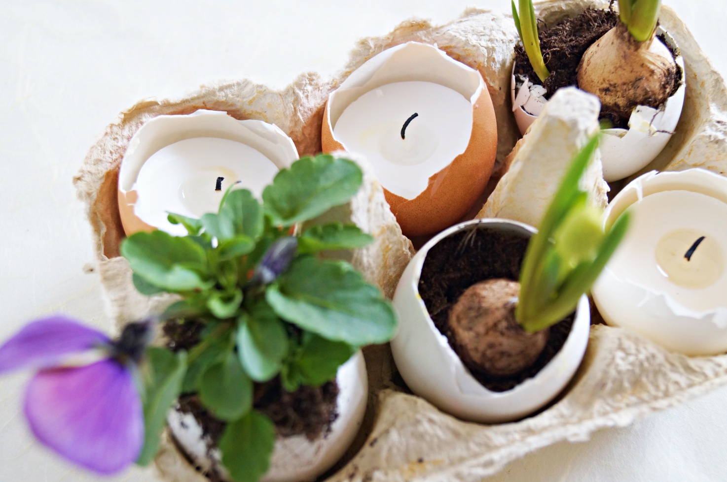 DIY für Ostern // Eier gefüllt mit Kerzen und Pflanzen ...